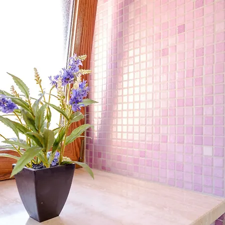 فندق مبيت وإفطار La Casa Di Plinio