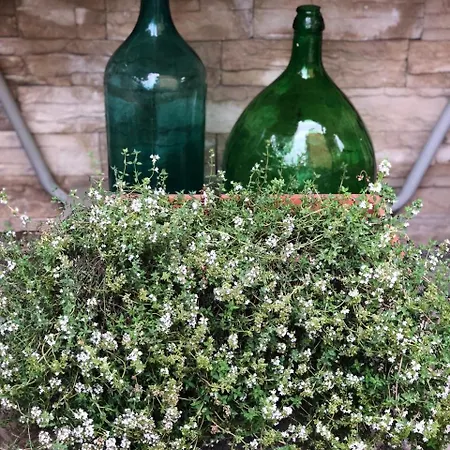 La Casa Di Plinio Bed & Breakfast